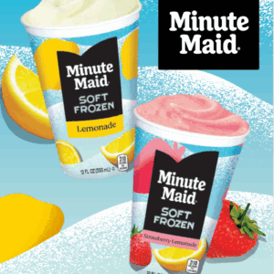 Minute Maid® Soft Frozen Lemonade Literature Sheet